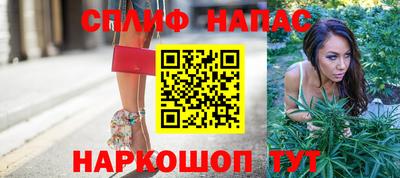 прущие грибы Мариинск