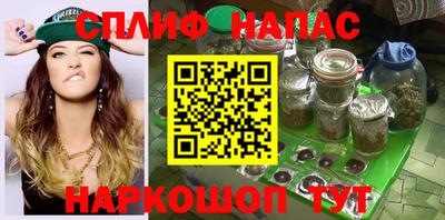 прущие грибы Мариинск