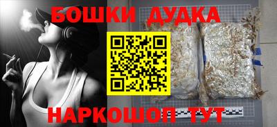 прущие грибы Малгобек
